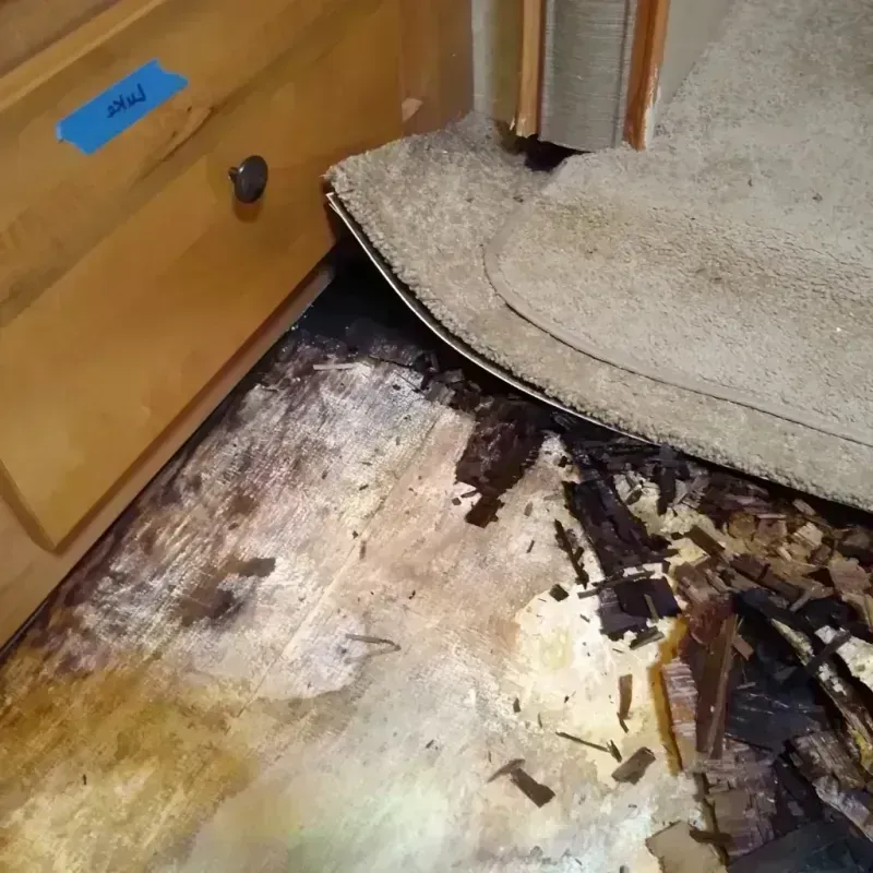 Best Wood Floor Water Damage Service in Hillcrest, IL